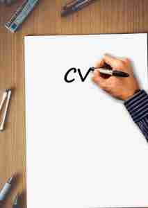 Formato Curriculum Vitae Cronologico