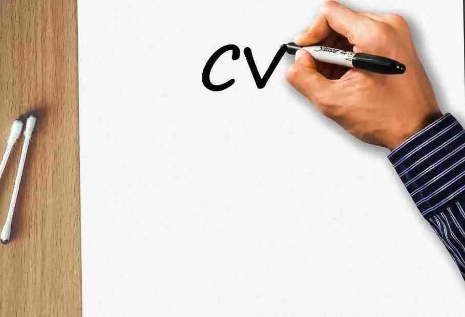 Formato Curriculum Vitae Cronologico